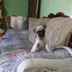 Maclovio Suárez - Facebook