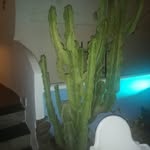 Macrina Barroso Jimenez - @macrinabarrosojimenez - Instagram