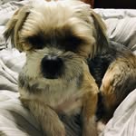 Macy Olson - @macy_201029 - Instagram