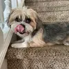 Macy Olson - @macy.olson - TikTok
