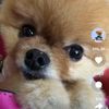 macyperry - @macyp310809 - TikTok