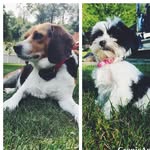 Macy & Quinn - @macy__quinn - Instagram