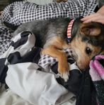 Macy Robertson - Facebook