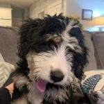 Macy Walmart Sears - @macy.sears - Instagram