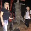 macy - @macyyshaw - TikTok