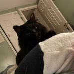 Macy Shaw - Facebook