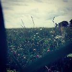 Madalyn.Johnson - @madalyn_johnson8 - Instagram