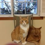 Madalyn Pearson - Facebook
