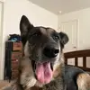 Madelyn Sutton - @madelyn.sutton7 - TikTok