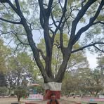 Madan Joshi - Facebook