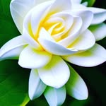 Madan Pardeshi - @madan.3044 - Instagram