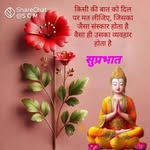 madan teja Auraiya - @wolf.8583253 - Instagram