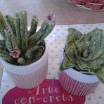 Maddalena de Vito - Facebook