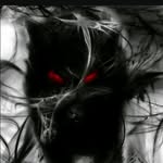 Shadow_Wolf17 - @maddexpark - Instagram
