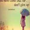 maddie corman - @dont.give.up.okay - TikTok