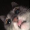 maddie - @maddie..hampton - TikTok