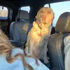 maddie.kirkp - @maddie.kirkp - TikTok