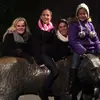 MaddieMunoz_ - @maddiemunoz_ - TikTok