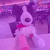 Maddie the silver aussie - @maddie.the.silver.aussie - TikTok