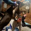 maddiesimon - @maddiesimon7 - TikTok