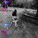 Maddie Simpson - Facebook