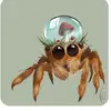 maddiestein5 - @strawberry.tarant - TikTok