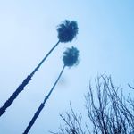 Maddie Elain Sutton - @maddie__sutton_1234 - Instagram