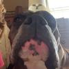 Maddie Sutton - @maddiej.sutton - TikTok
