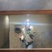 Maddie Sutton - Facebook