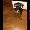 maddie thomas - @maddie.thomas2 - TikTok