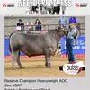 Maddie.wall - @maddie.wall2 - TikTok