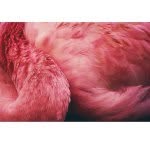 Maddison Ball - @redressingyou - Instagram