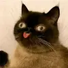 Maddison Barnes - @maddie...._.nope - TikTok