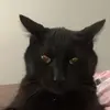 Maddie Barrett - @_maddie.barrett_ - TikTok
