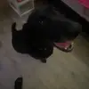 Madison Beasley - @madison.beasley2 - TikTok