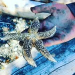 maddison bergschneider - @maddisonbergschnei - Instagram