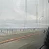 madison brewer - @madison.brewer7 - TikTok