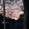Madison Brewer - @madison.brewer76 - TikTok