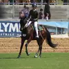 Maddison Collins Dressage - @maddisoncollinsdressage - TikTok