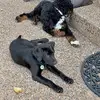 Madison Dalton - @madison.dalton5 - TikTok