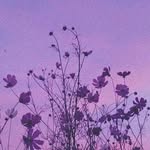 𝓜𝓪𝓭𝓭𝓲𝓼𝓸𝓷 𝓓𝓾𝓷𝓷 - @spud_gun_ - Instagram