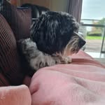 Maddison Fleming - @maddisonfleming50 - Instagram