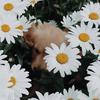 madison.fleming - @madison.fleming - TikTok