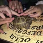 Maddy - @m.addisonfrank - Instagram