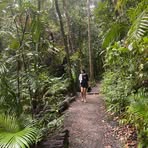 Maddison Freeman - Facebook
