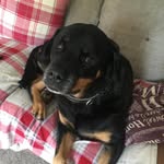 @_maddisongallagher.spam_ - Instagram