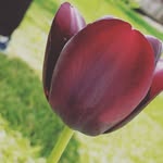 Maddison Gates - @maddisonphotography10 - Instagram