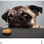Maddison Goodwin - @emoji_lover_12347 - Instagram