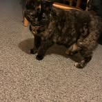 Madison Hicks - Facebook
