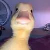 Maddy Higgins92 - @maddison.higgins - TikTok